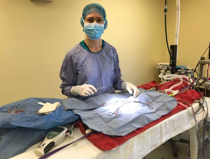 Hampstead Veterinary Surgeries | Vet Surgeon